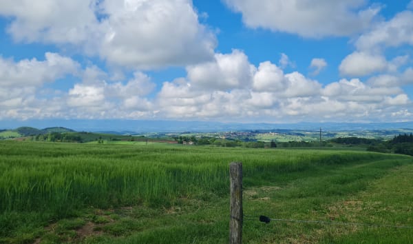 Petite boucle dans la campagne de Saint-Cyr - Saint-Cyr-de-Valorges - 1