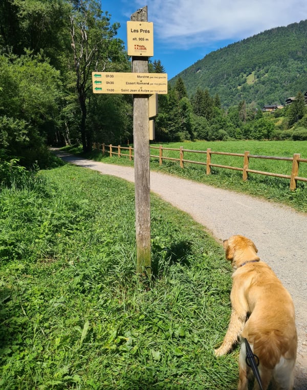 Escapade à Montriond et découvrir la Danse de Morzine - Montriond - 1