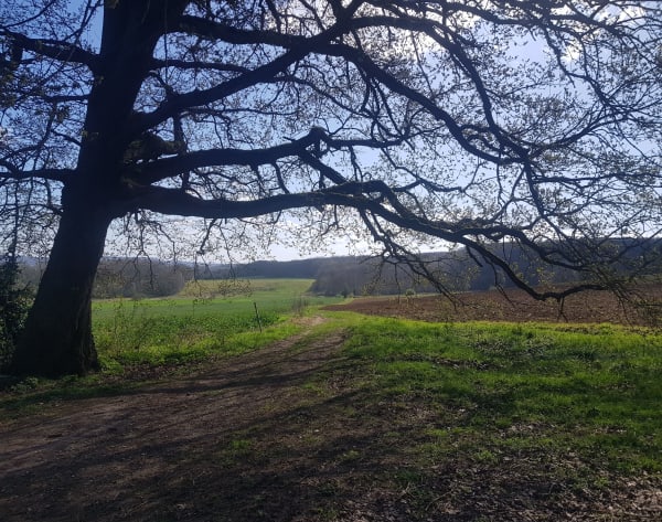 Promenade sur le plateau près de Flins sur Seine - Flins-sur-Seine - 1