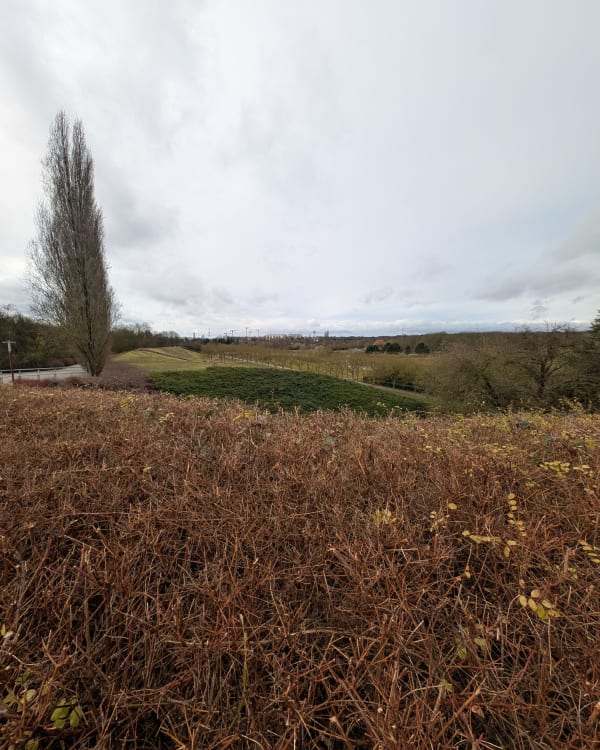 Tour du parc du Sausset - Aulnay-sous-Bois - 1