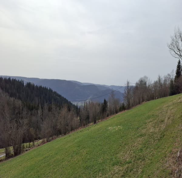 De la Croix des Hêtres aux cascades de la Pissoire - Vagney - 1
