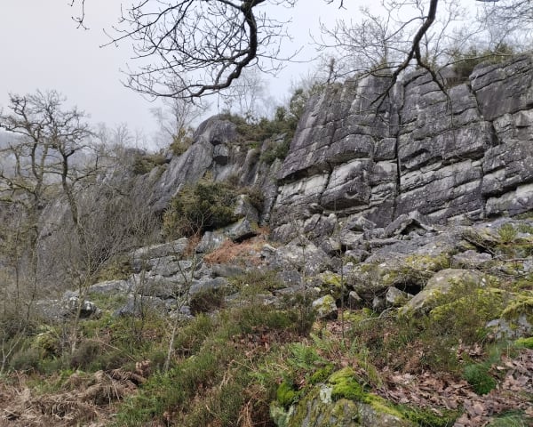 Sentier de la Fosse Arthour - Saint-Georges-de-Rouelley - 1