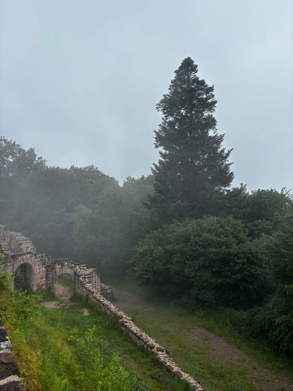 Boucle des châteaux des Vosges du Nord. - Marie - 1