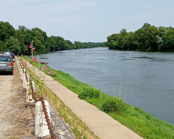Balade long de la Loire à Avoine - Avoine - 1