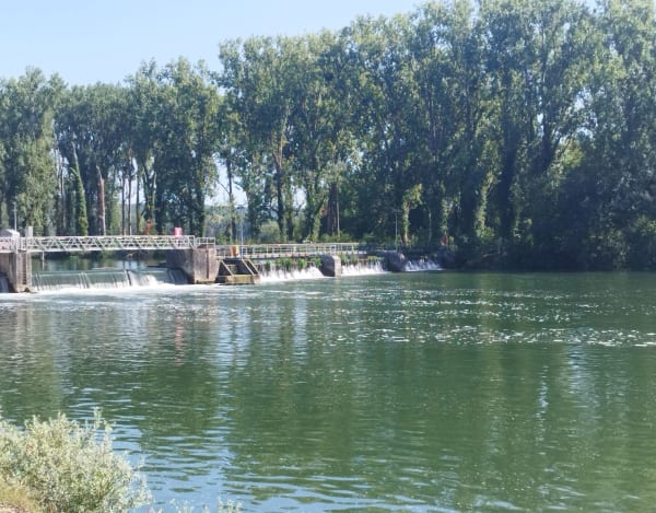 Balade à vélo le long de l'Yonne - Sens - 1