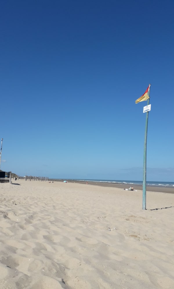 Réserve Naturelle du Platier d’Oye et joyau ornithologique - Oye-Plage - 1
