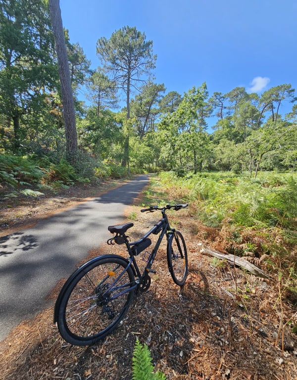 Biscarosse et l'Etang de Cazaux à vélo - Biscarrosse - 1