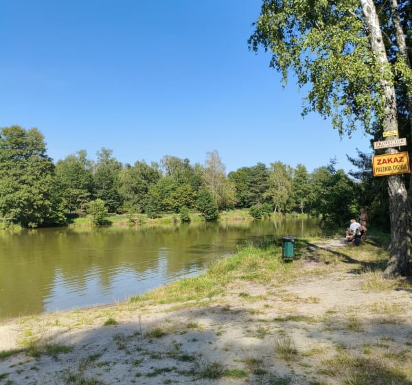 Dookoła Sokolniki las - Michał - 1