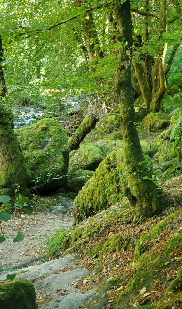 Vallée du Cousin et haut d'Avallon. - Pontaubert - 1