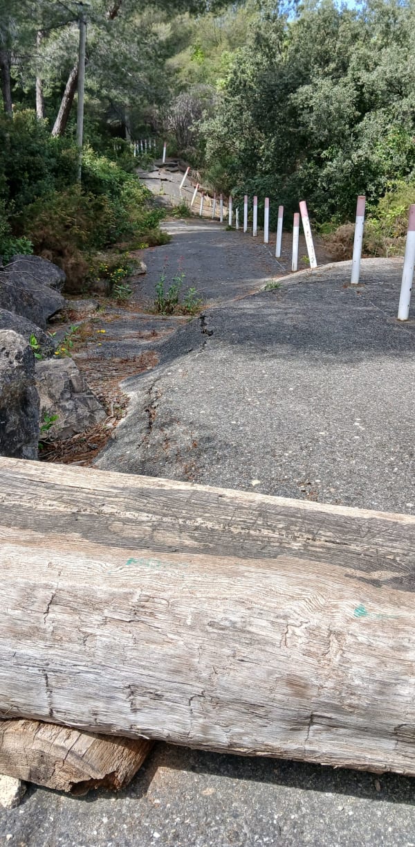 Aubagne : là-haut sur le Ruissatel, une colline chère à Pagnol ! - Aubagne - 1