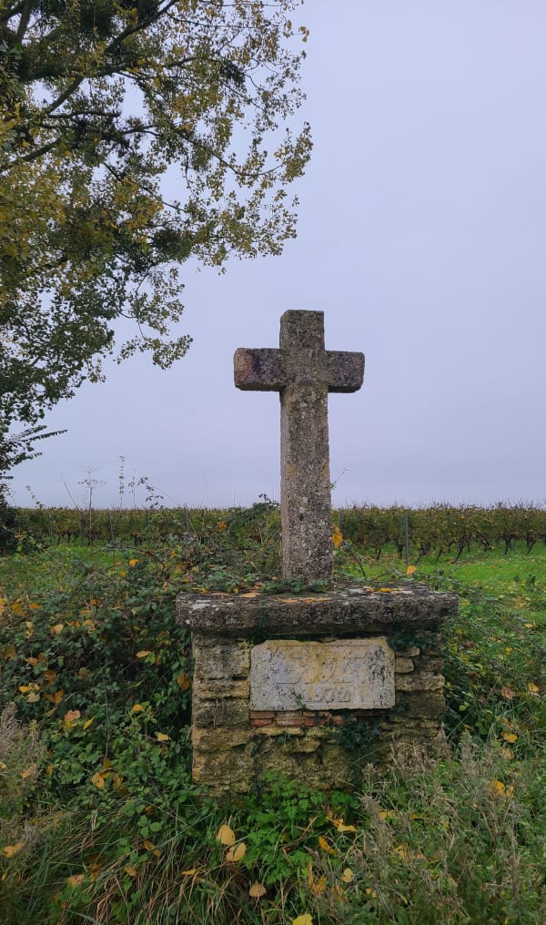 Promenons nous dans les champs de Terranjou - BERENGERE - 1