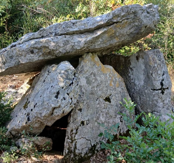 Plateau méjannais - Laurent - 1
