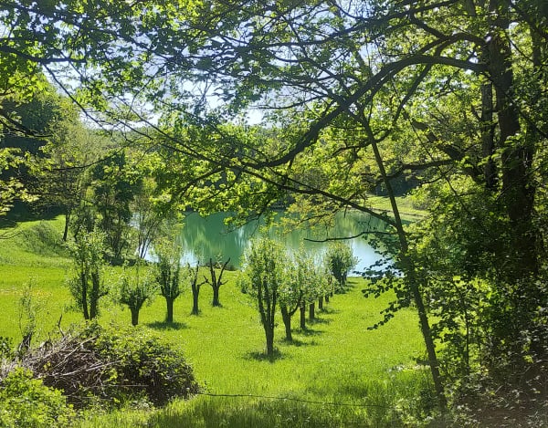 Cambes-de-Pujols, la randonnée du Cap de l’Homme - Cambes - 1