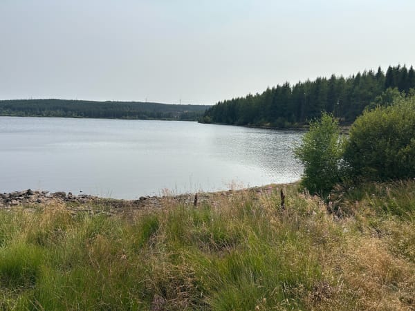 Lac de Charpal en boucle paisible - Monts-de-Randon - 1