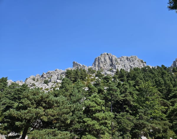 Tour de la Tête de la Barre de la Sapée - Castellane - 1