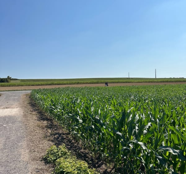 De Tressin à Bouvines - Tressin - 1