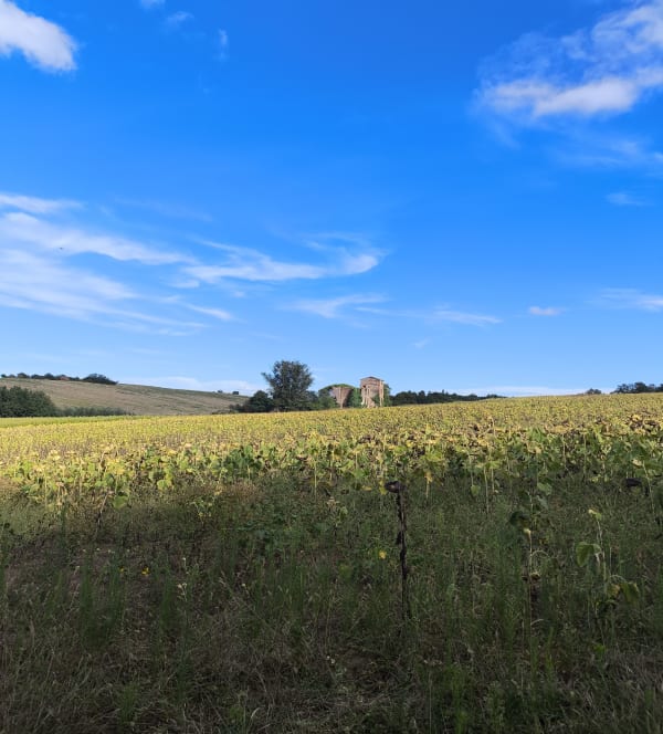 Boucle au départ de Corronsac, via Deyme - Corronsac - 1