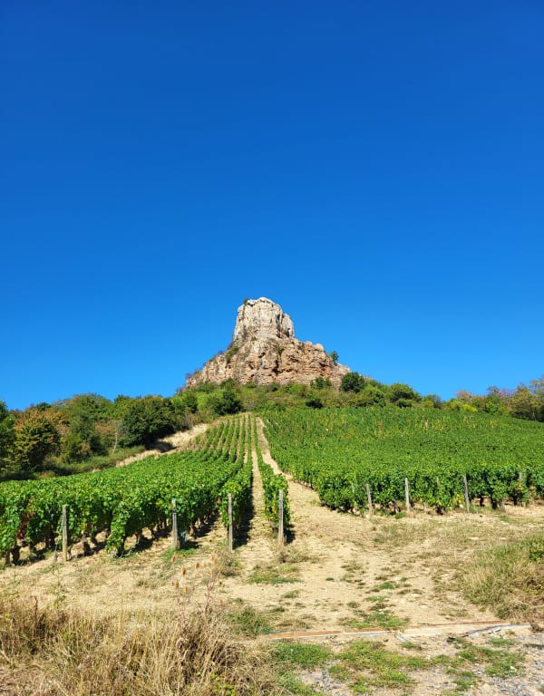 Crapahuter en haut de la roche de Solutré et vue panoramique - Solutré-Pouilly - 1