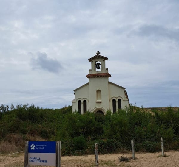 Entre pins et plage autour de Labenne - Labenne - 1