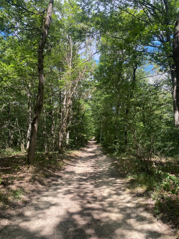 Balade à Bouconne par le lac - Pibrac - 1