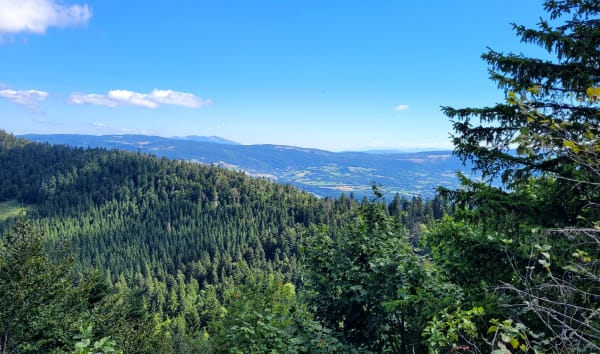 Vues sur le Mont-Blanc depuis le belvédère de Planachat - Plateau d'Hauteville - 1