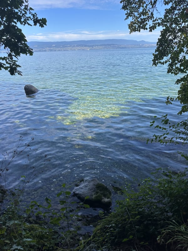 Sortie Séchex et bord du lac - Margencel - 1