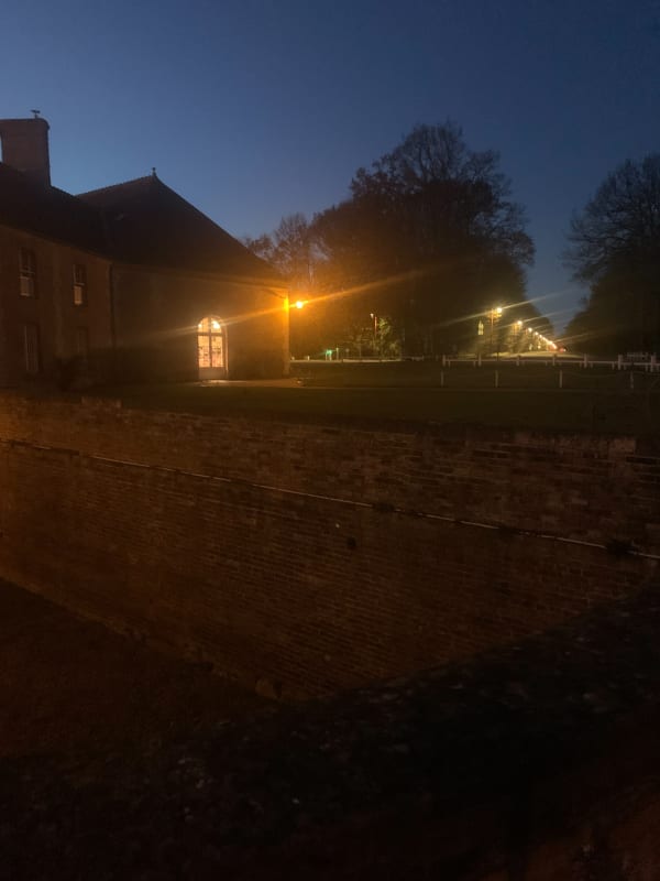 Avenue de Louis XIV et forêt du Pin-au-Haras - Le Pin-au-Haras - 1
