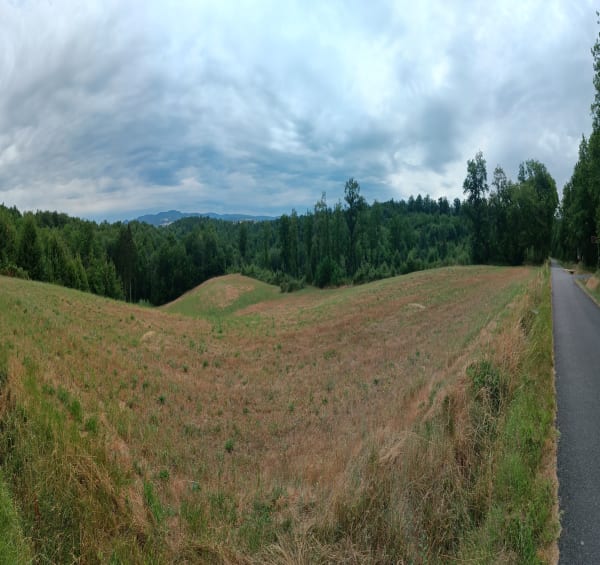 Rando en forêt de Sivens - Salvagnac - 1
