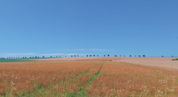 Châlons-en-Champagne et plaisirs diversifiés de la Marne - Châlons-en-Champagne - 1