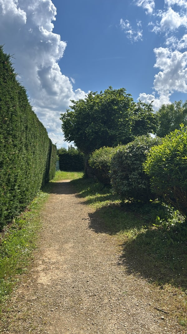 Petite balade le long de la Boivre - Briard,Poitiers - 1