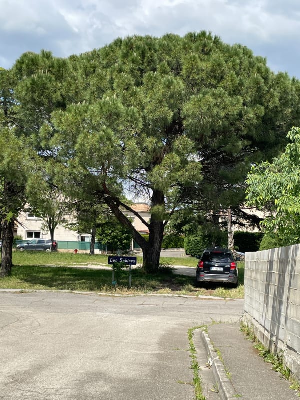 Petit tour à Montfavet - Avignon - 1