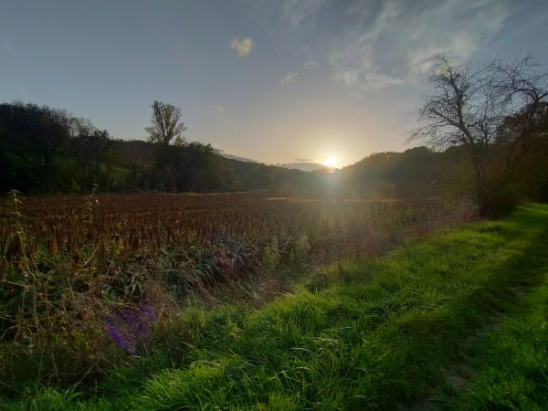 Saint-Germain, l'autre colline de Villeneuve-sur-lot - Virginie - 1