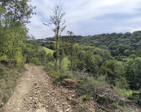 Saint-Hilaire-de-Brens et sa boucle forestière - Saint-Hilaire-de-Brens - 1