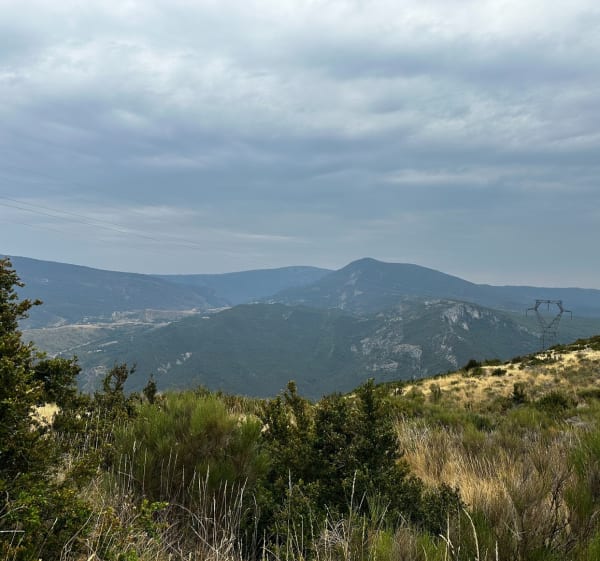 Chasteuil - Rougon - Alizé - 1