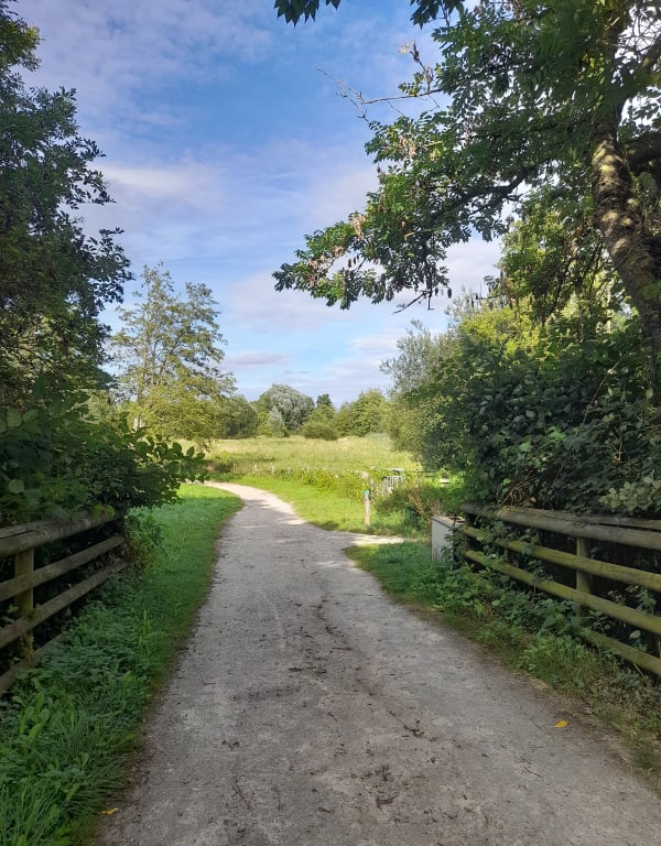 Sentier des Pâtures d'Argentan et marais coassant - Therese - 1
