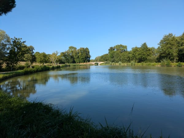 Sur les bords du canal à Panneçot - Limanton - 1