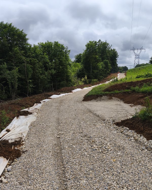 Balade dans les bois de Vitry-sur-Orne - Vitry-sur-Orne - 1
