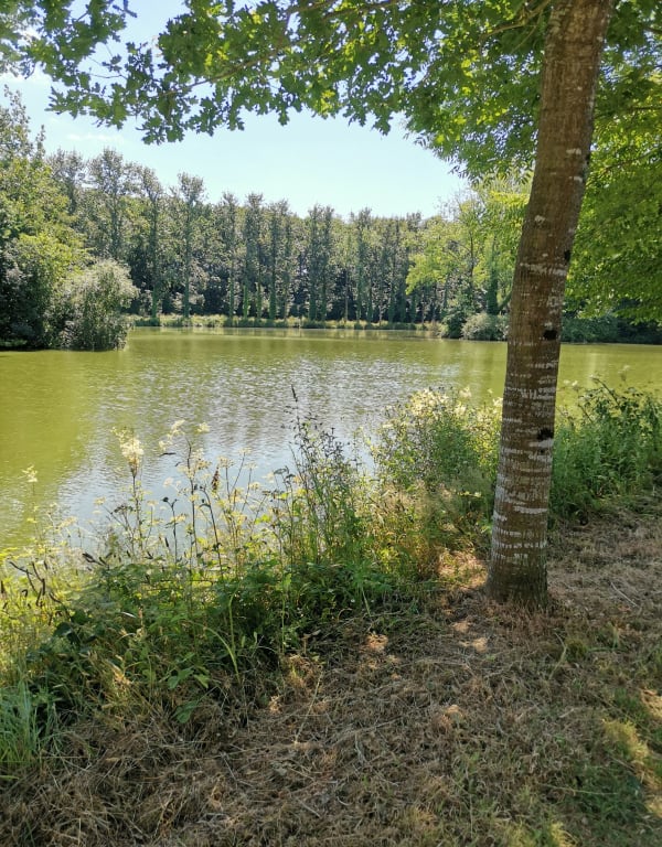 Plan d'eau de Plouvorn - Plouvorn - 1