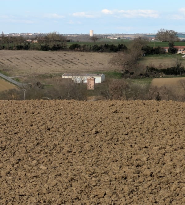 Rando des trois ânes à Labastide-Beauvoir - Labastide-Beauvoir - 1