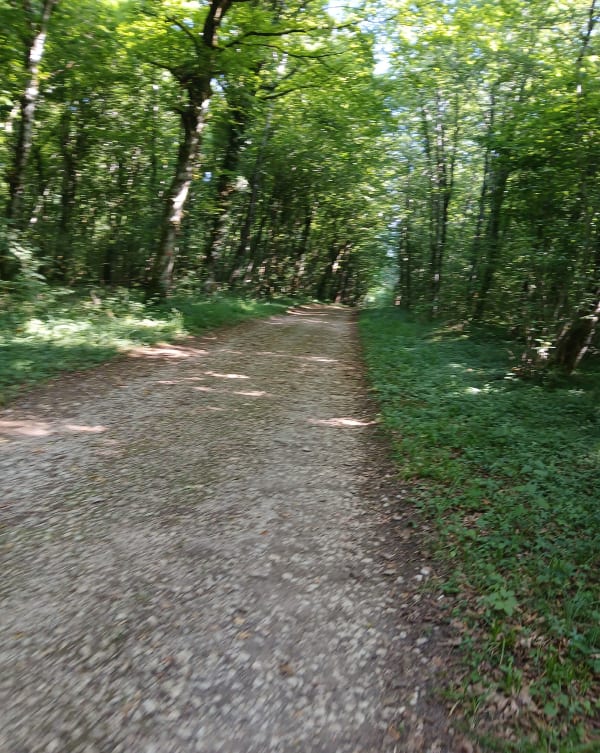 Forêt de Chailluz Autour des Grandes Baraques - Besançon - 1