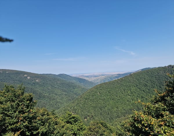 Balade entre forêts et pelouses de l'Aigoual - Val d'Aigoual - Mont Aigoual - 1