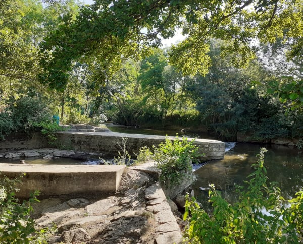 Balade sur les chemin de Biziat - Biziat - 1