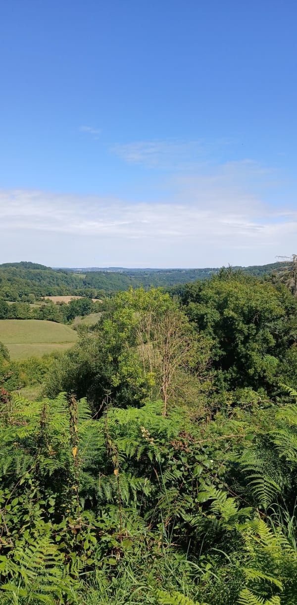 Du lac de Rabodanges aux gorges de l'Orne à vélo - Les Rotours - 1