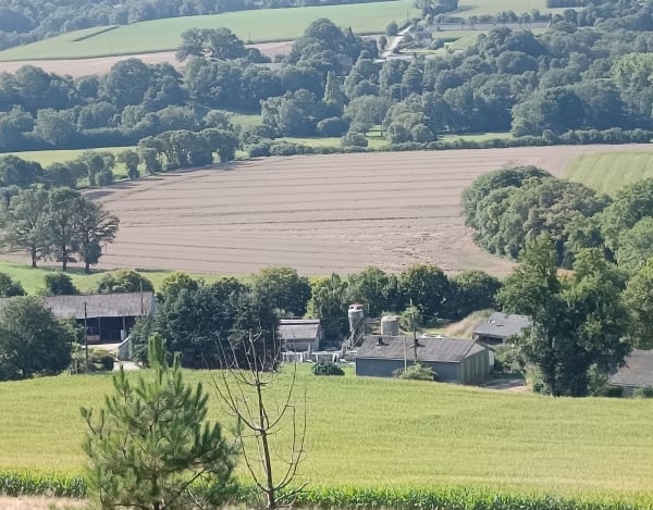 La campagne de Saint-Jean-Brévelay - Saint-Jean-Brévelay - 1