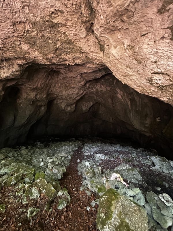 Grotte des Boeufs par Marignat - Presles - 1
