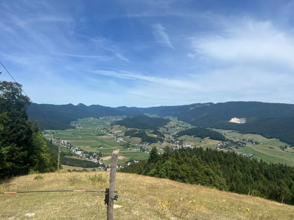 À travers la forêt de Méaudre et parfum de pinède - Méaudre - 1