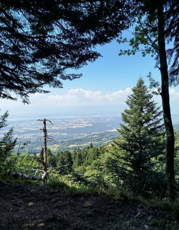 Le Pralère - Lucinges - 1