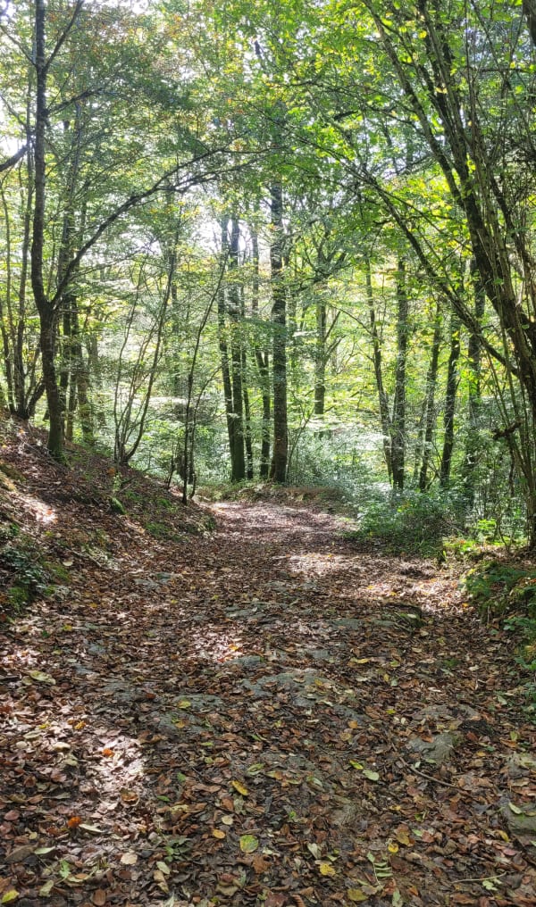 Virée champêtre dans la riche campagne aveyronnaise - Manhac - 1