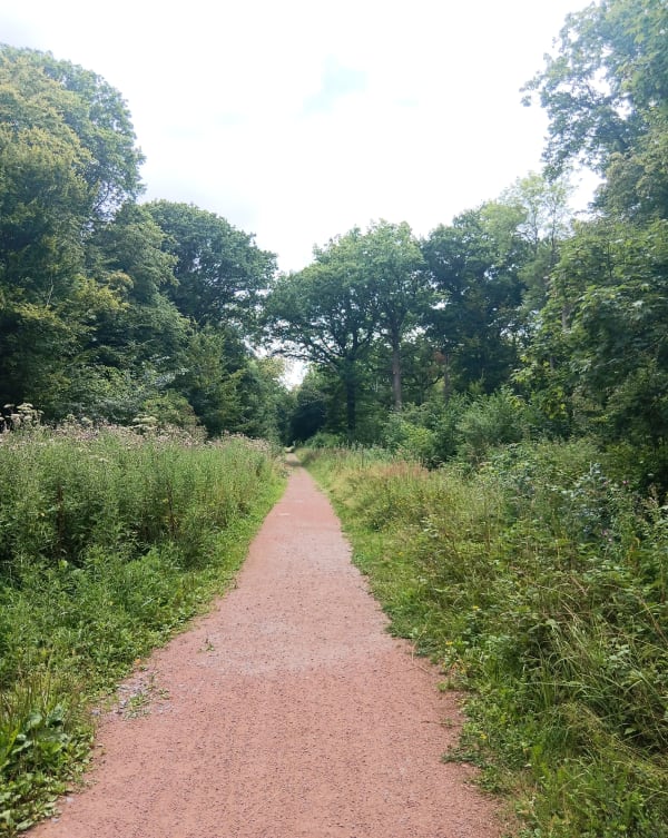 Bois de l'offlarde - Leforest - 1