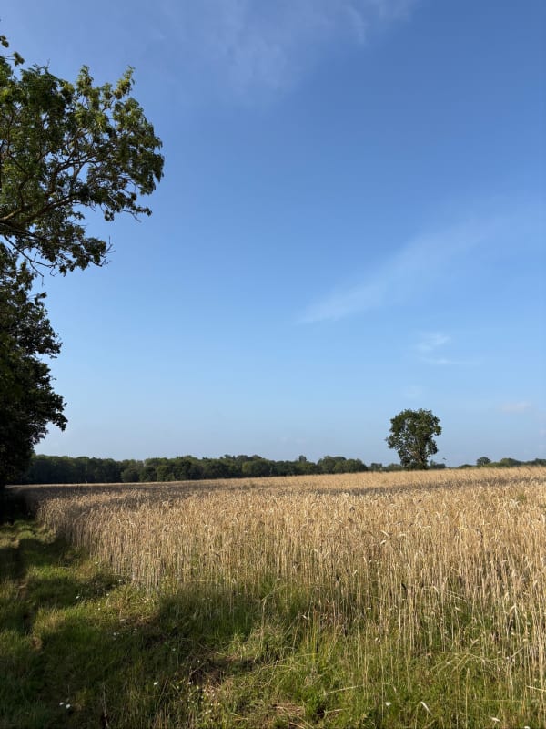 Ouffières et jeu des dix bornes au nord de la Suisse normande - Ouffières - 1